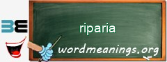 WordMeaning blackboard for riparia